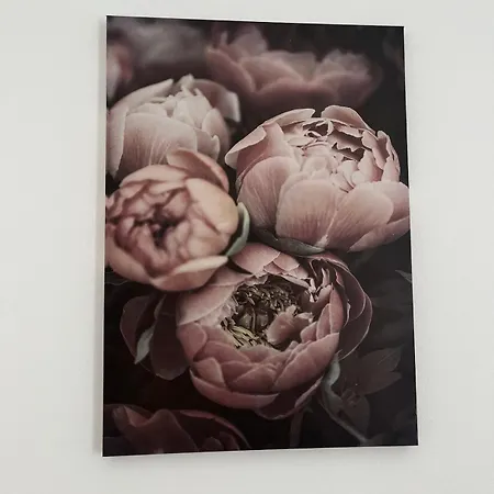 House Of Flowers